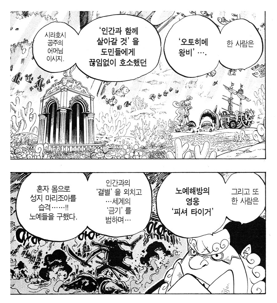 원피스) 다시 보면 신기할 정도로 현상금이 적은 캐릭터_2.jpg