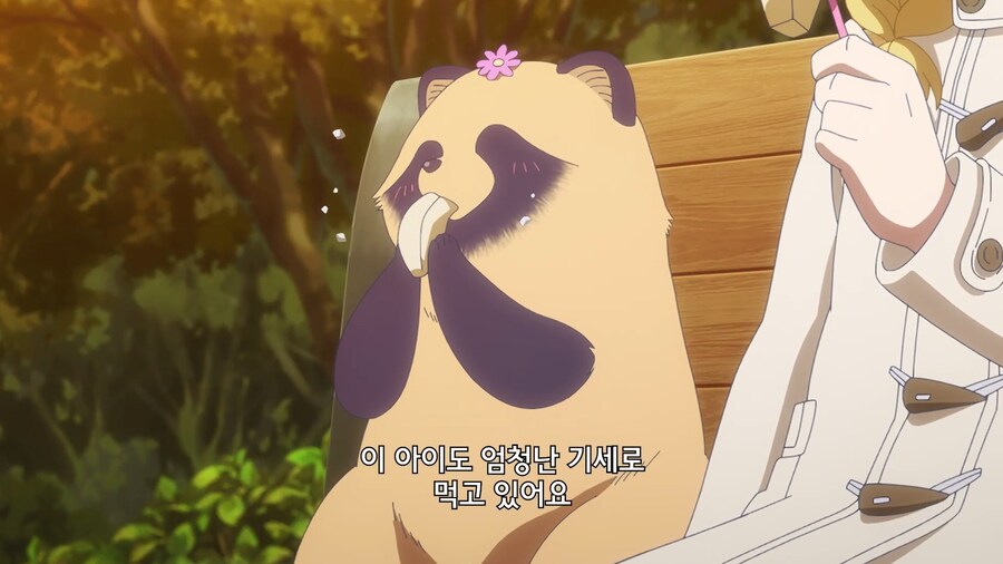 비와너와]개에게 사과를 준 이유_2.jpg
