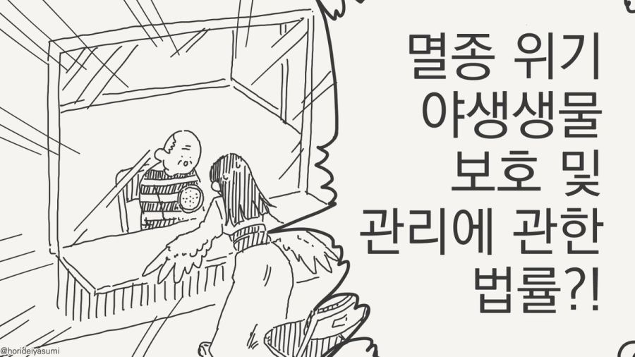 체포 되는 만화.manhwa_20.jpg