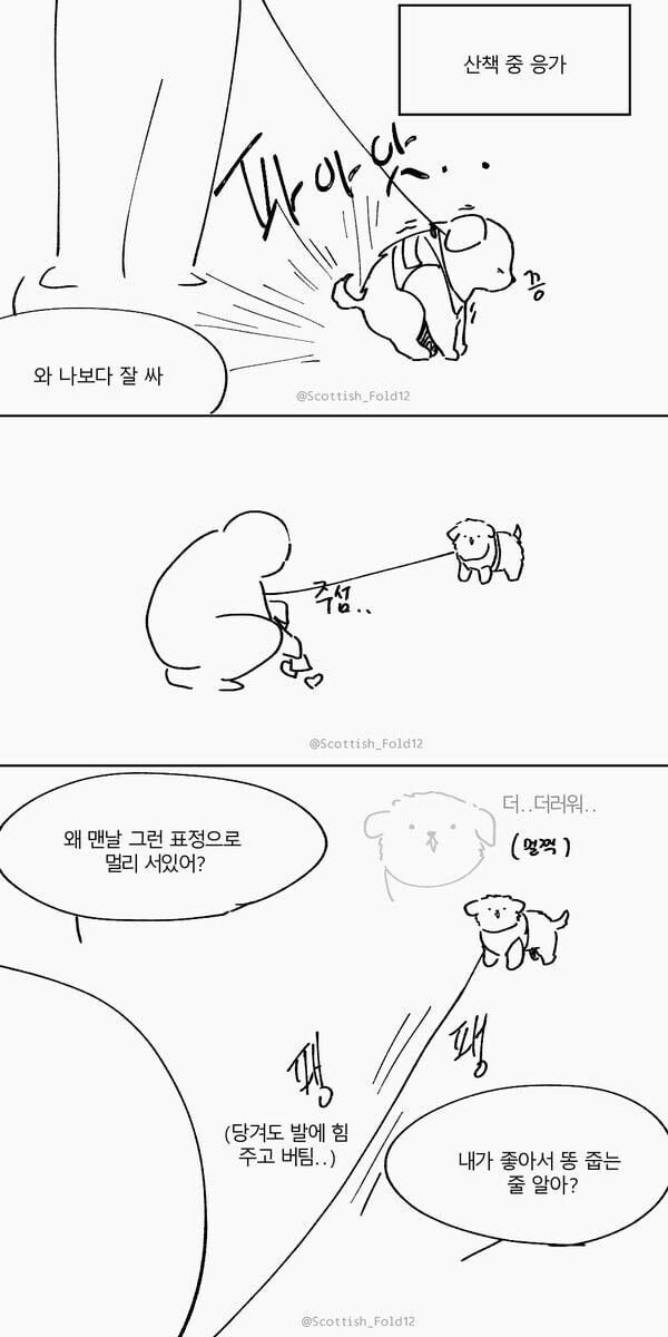 앙냥냥냥냥냥 만화_2.jpg