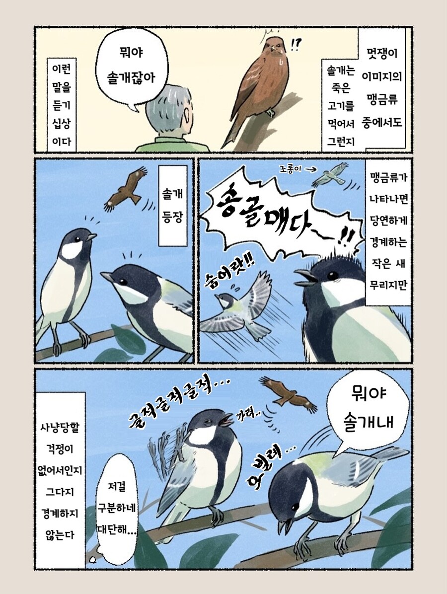 번역) 솔개 만화_1.jpg
