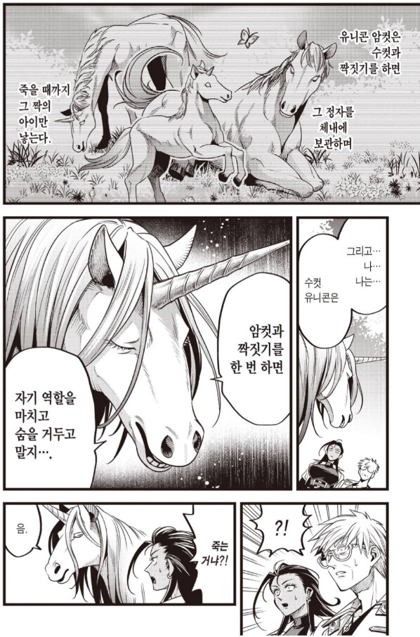 유니콘이 처녀충인 이유에 관한 해석.manhwa_2.png