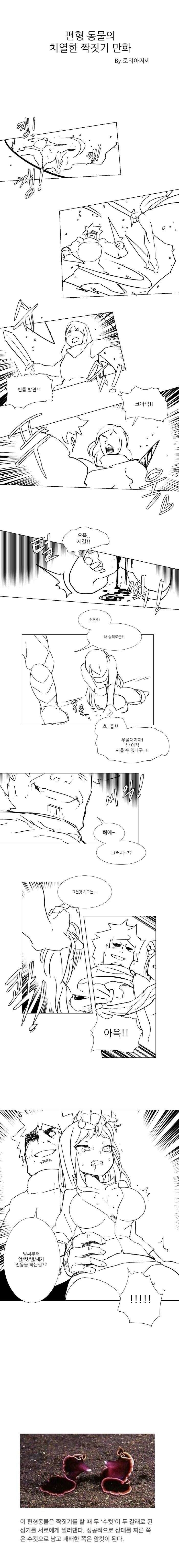 편형동물의 치열한 싸움.manwha_1.jpg