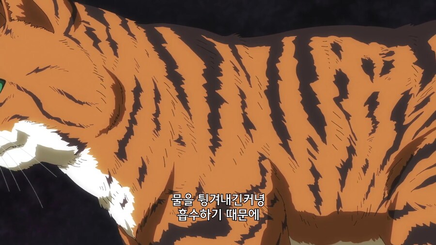 고양이가 물을 싫어하는 이유_4.jpg