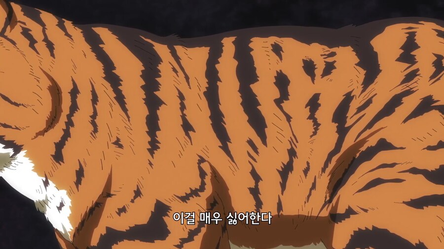 고양이가 물을 싫어하는 이유_6.jpg