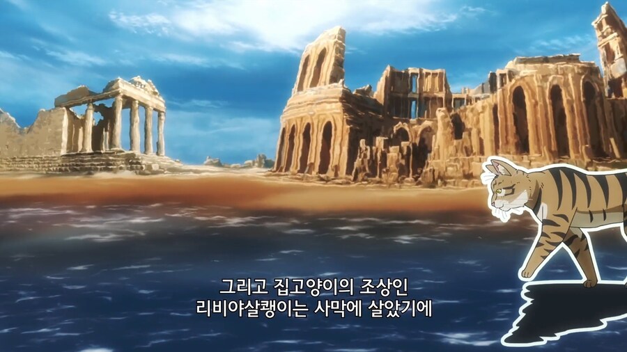 고양이가 물을 싫어하는 이유_7.jpg