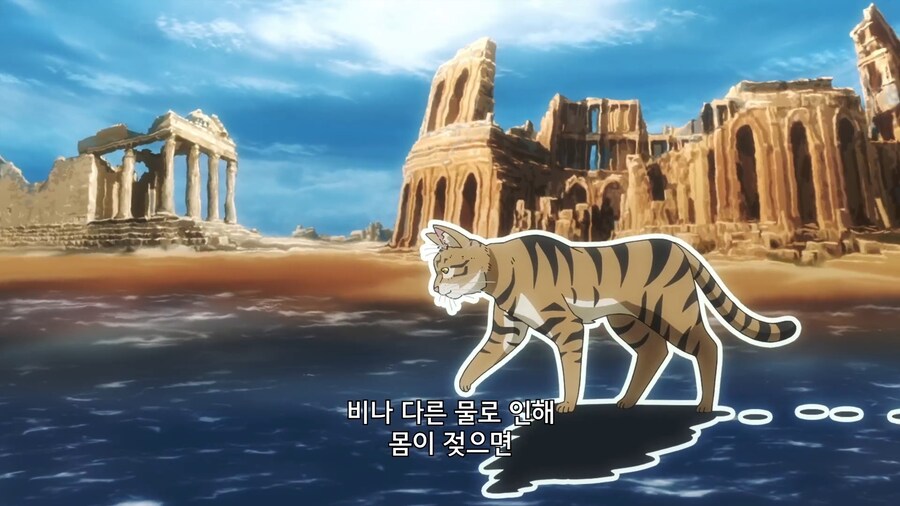 고양이가 물을 싫어하는 이유_8.jpg