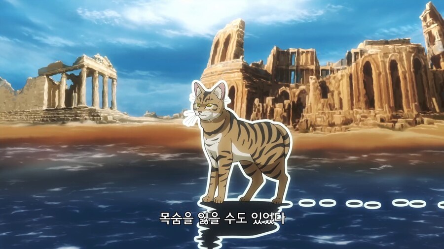 고양이가 물을 싫어하는 이유_10.jpg