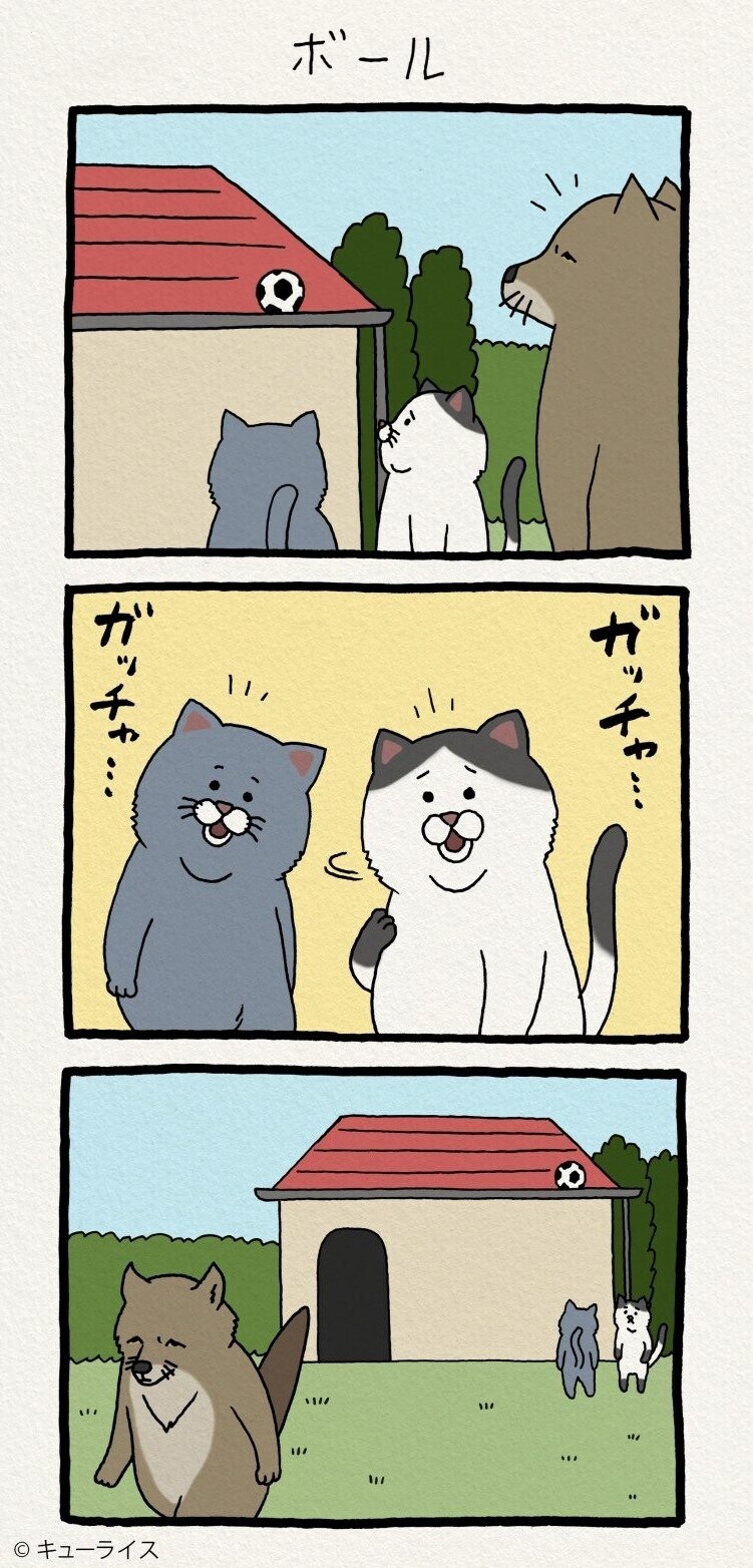 불친절한 여우씨 만화_4.jpg