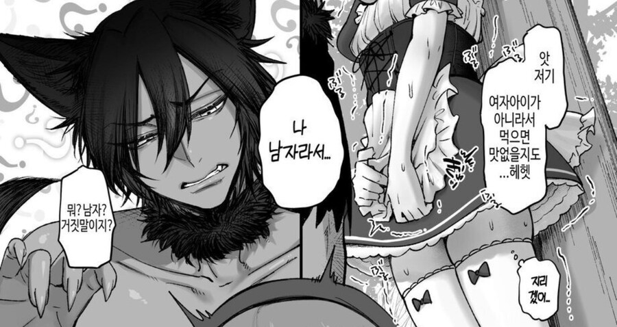 붉은망토가 늑대를 만나는.manga_5.jpg