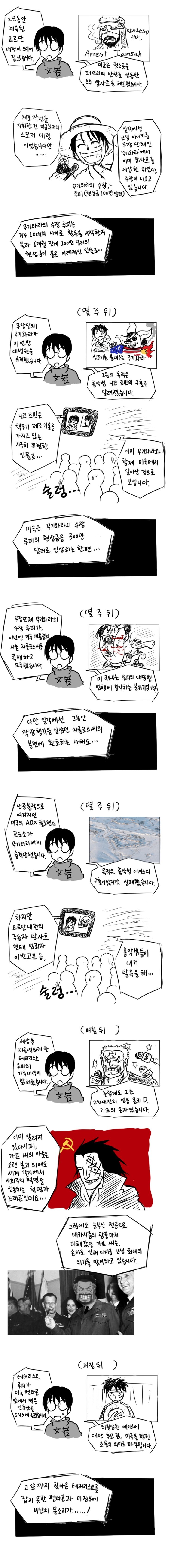 원피스) 현실적(?)으로 바꿔본 밀짚모자 일당의 행보_1.jpg