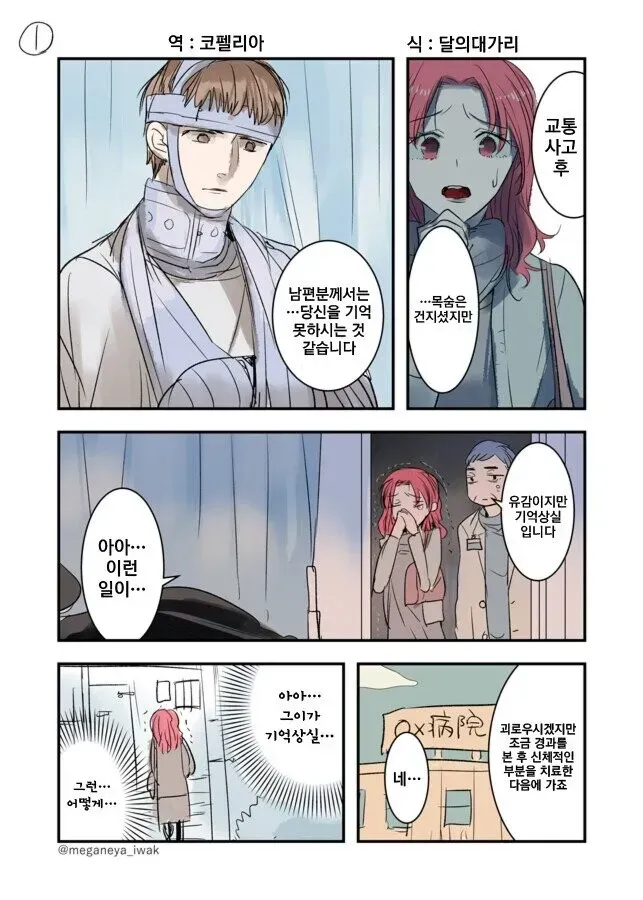 남편이 기억을 잃은 만화_1.webp