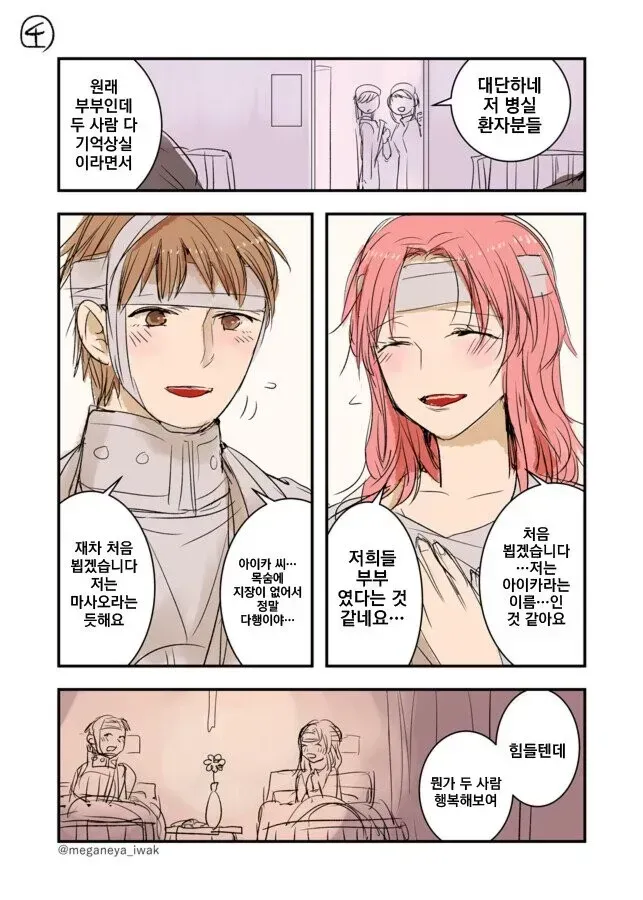 남편이 기억을 잃은 만화_4.webp