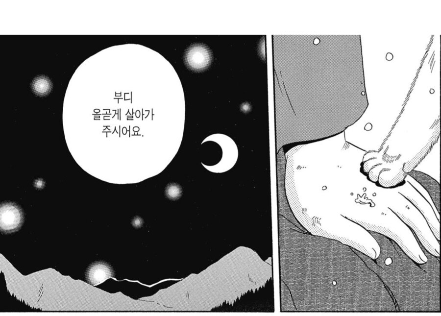 도망친 요괴고양이를 찾아 여행을 떠난 꼬마주인.manhwa_9.png