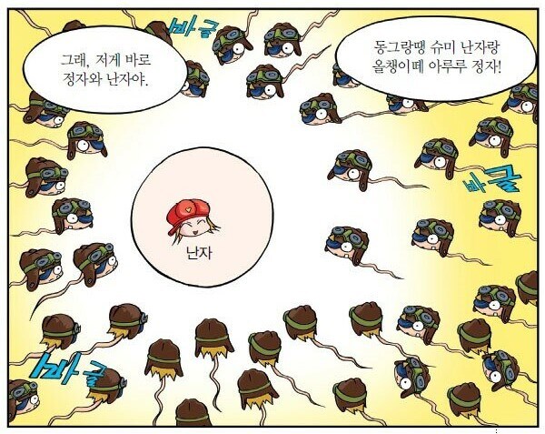 보법이 다른 국산 아동 만화.jpg_5.jpg