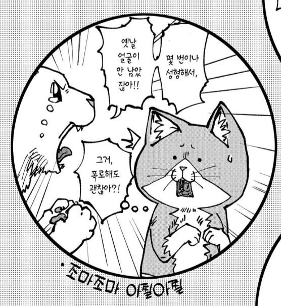 전직 아이돌 고양이의 슬픈 진실.manhwa_5.png