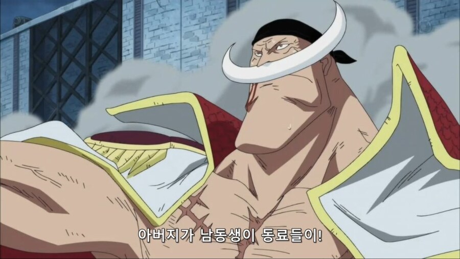 원피스) 에이스의 심리와 그의 치명적 강박에 대한 고찰(장문)_4.jpg