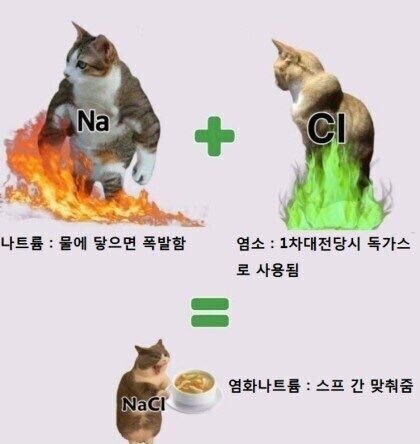 미친 악마들이 낳은 딸.manga_2.jpg