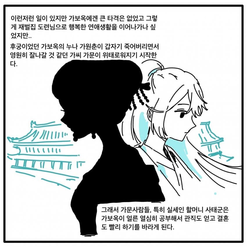림버스 팬을 위한 홍루몽 요약 만화_13.jpg
