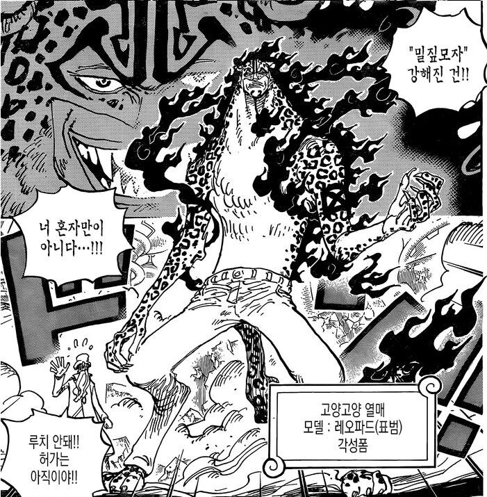 원피스) 그래도 로브 루치가 개념은 있는 새끼인 이유_2.jpg