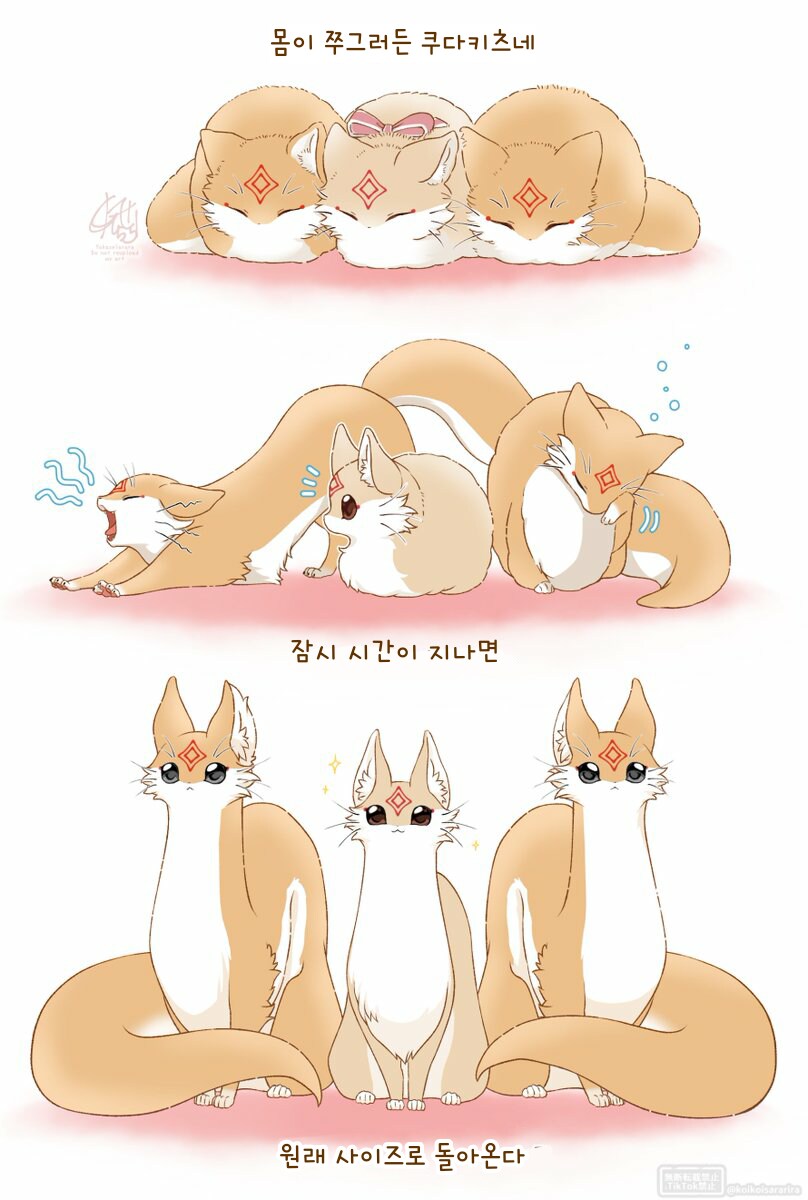 번역)물이 서툰 쿠다키츠네.manhwa_2.png