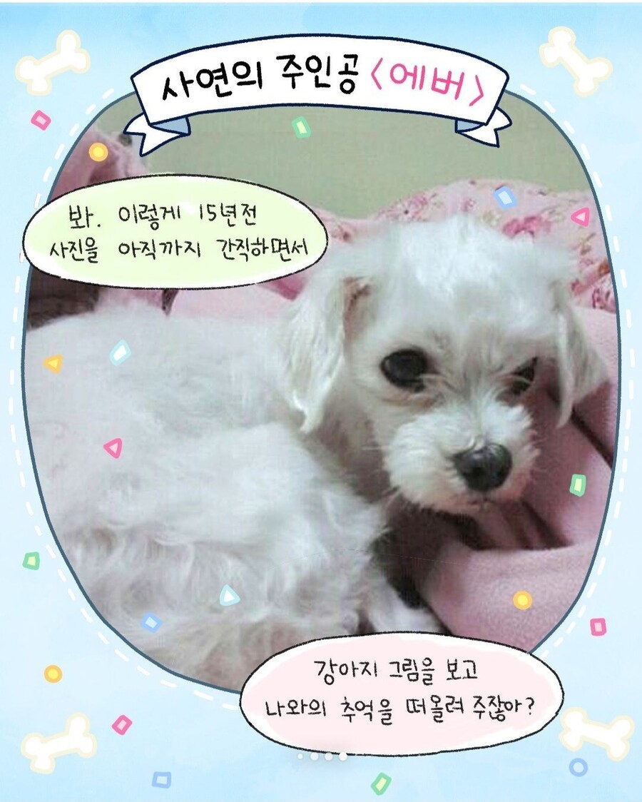 집에 돌아와보니 모르는 강아지가 있던.manhwa_10.jpg