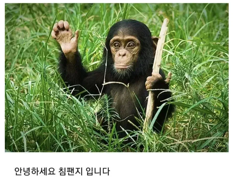 앞자리 여자애한테 꼬리가 있는 만화_7.webp