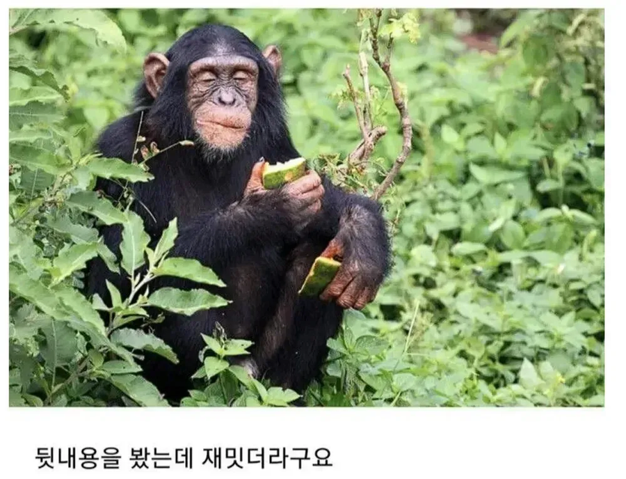 앞자리 여자애한테 꼬리가 있는 만화_8.webp
