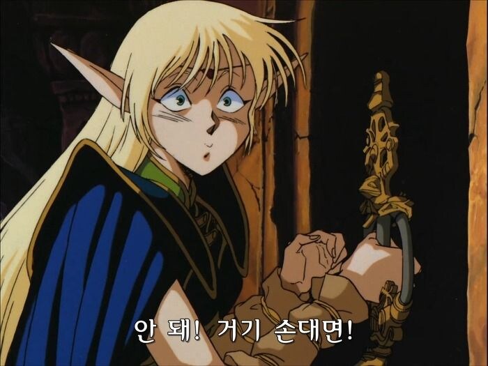 이 캐릭터 왤케 정형화된 일본 엘프 캐릭이나 했더니_1.jpg