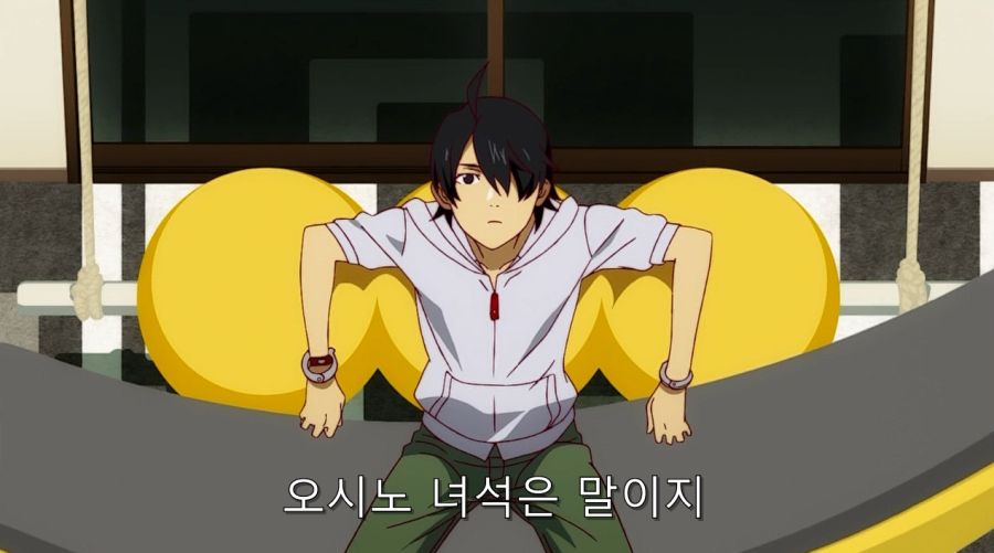 모노가타리 시리즈에서 작가가 하네카와 대해서 끊임없이 언급했던 부분_6.jpg