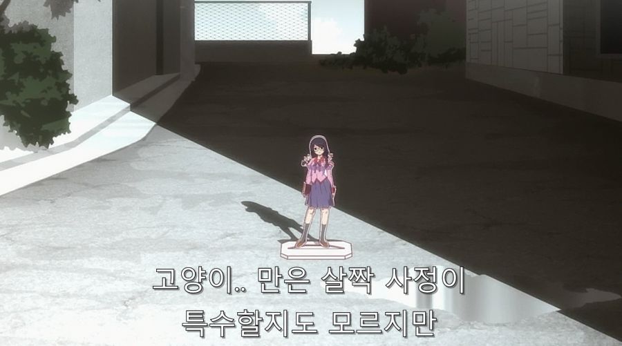 모노가타리 시리즈에서 작가가 하네카와 대해서 끊임없이 언급했던 부분_12.jpg