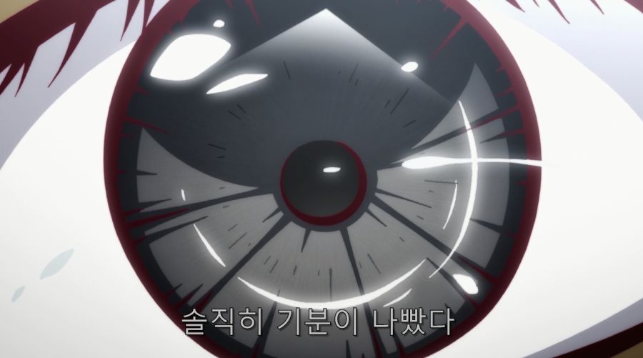 모노가타리 시리즈에서 작가가 하네카와 대해서 끊임없이 언급했던 부분_17.jpg