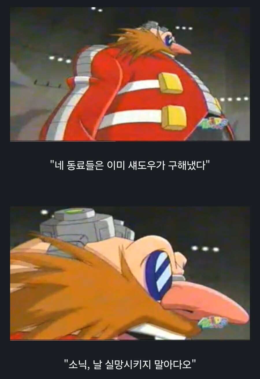 소닉) 의외로 폭주한 소닉을 진정 시킬 수 있는 사람_2.jpg