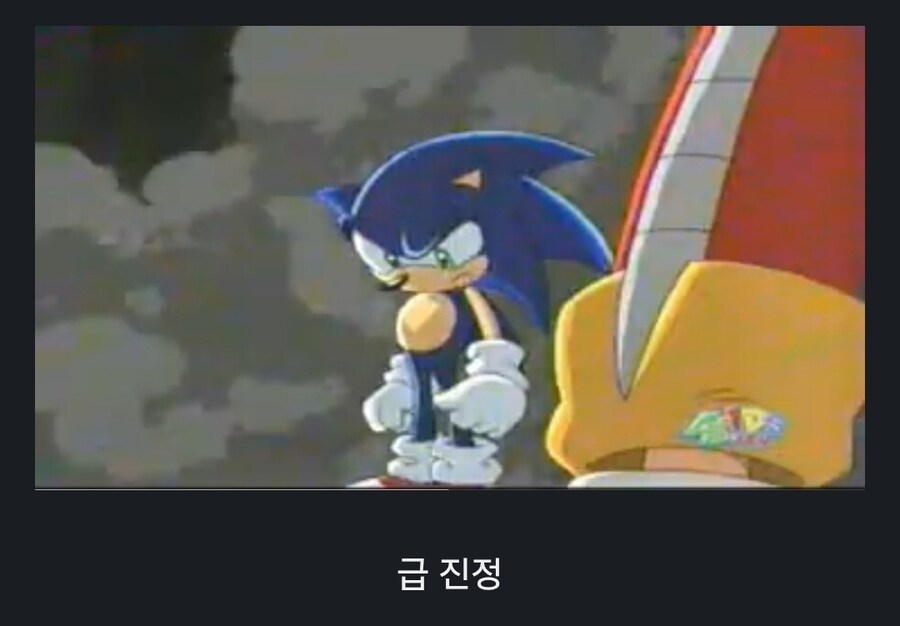 소닉) 의외로 폭주한 소닉을 진정 시킬 수 있는 사람_3.jpg