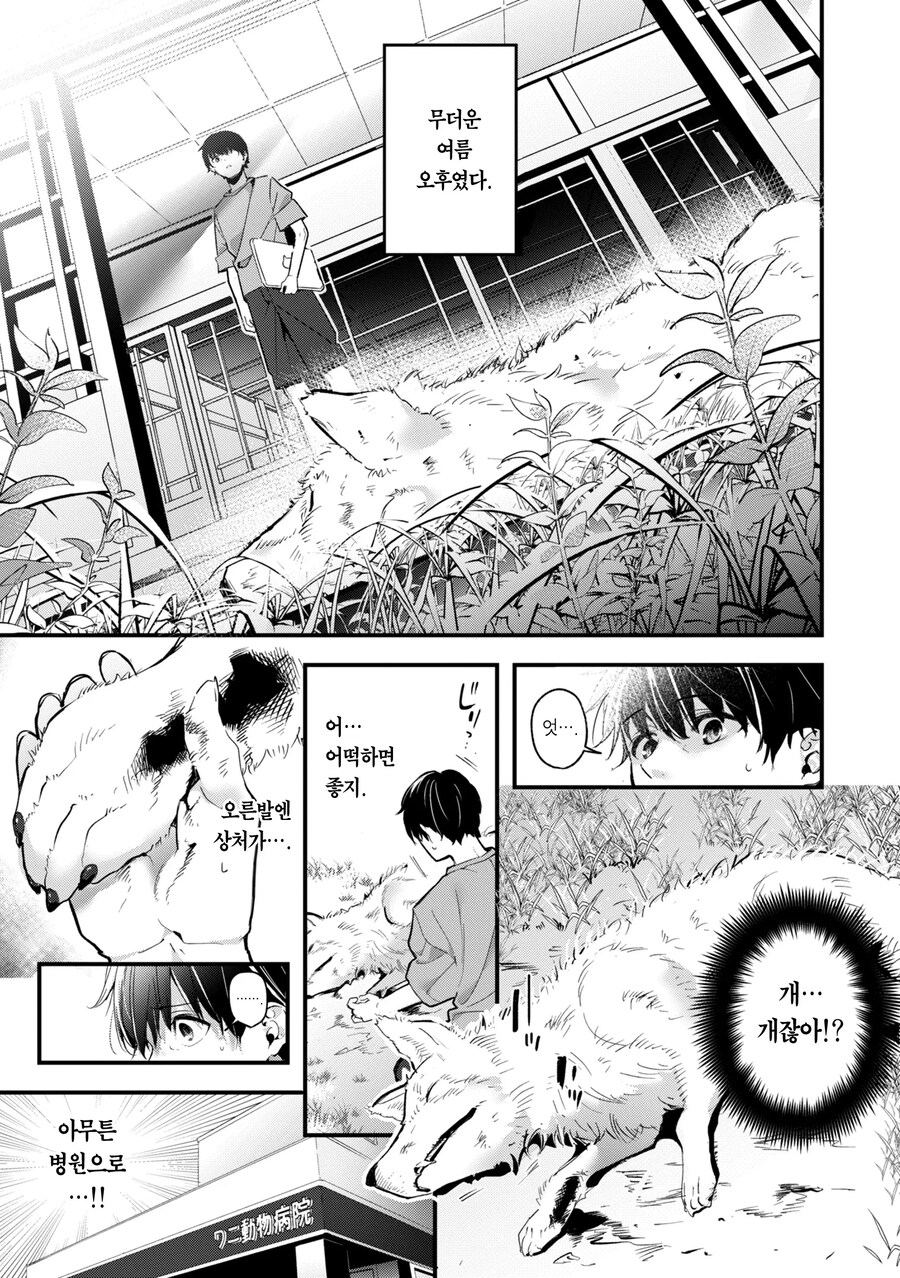 살려준 은혜를 갚으로 와 준 늑대.manhwa_1.jpg