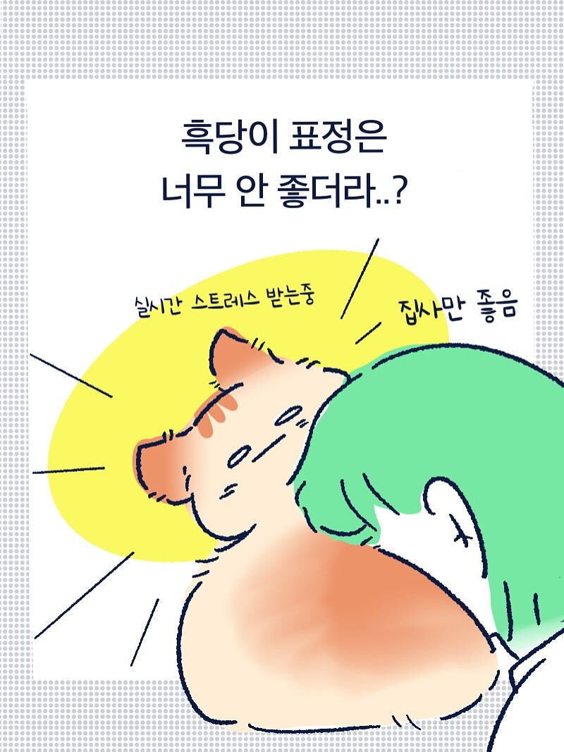 고양이의 찐 사랑.manhwa_6.jpg