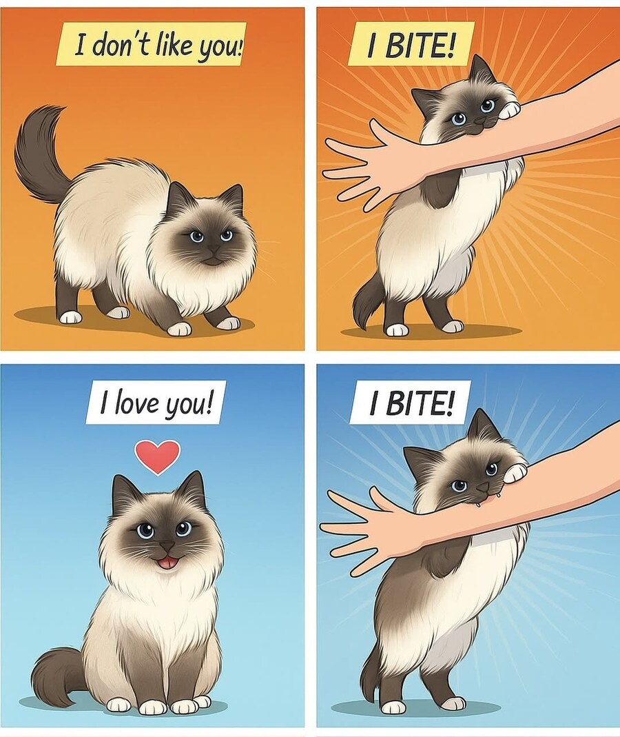 떼걸룩의 한결같은 특징.Comic_1.jpg