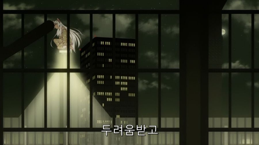 모노가타리 세계관 재밌는 가설_12.jpg