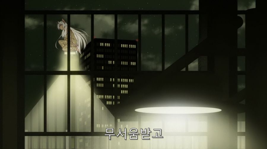 모노가타리 세계관 재밌는 가설_13.jpg