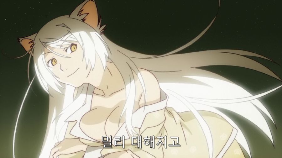 모노가타리 세계관 재밌는 가설_14.jpg