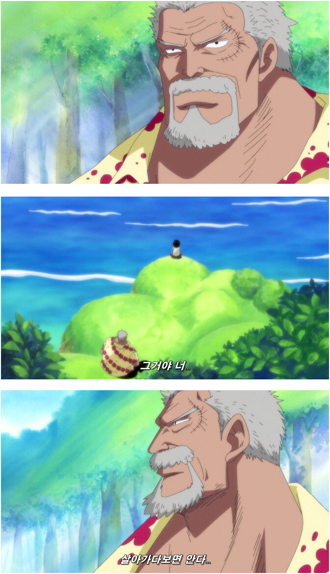 원피스) 근데 에이스가 흰수염 아들로 죽은건 당연한거임._2.jpg