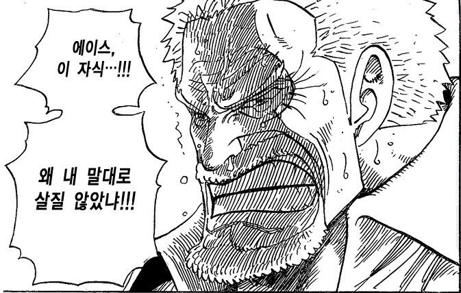 원피스) 근데 에이스가 흰수염 아들로 죽은건 당연한거임._4.jpg