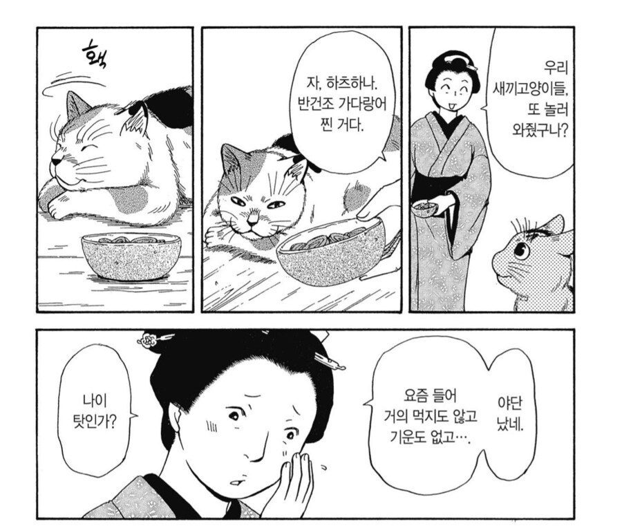 어린 주인님과의 추억을 곱씹는 늙은 고양이.manhwa_1.png