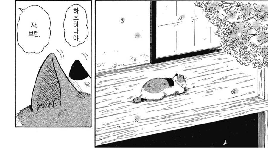 어린 주인님과의 추억을 곱씹는 늙은 고양이.manhwa_4.png