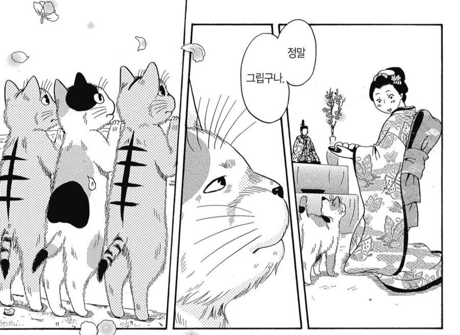어린 주인님과의 추억을 곱씹는 늙은 고양이.manhwa_7.png