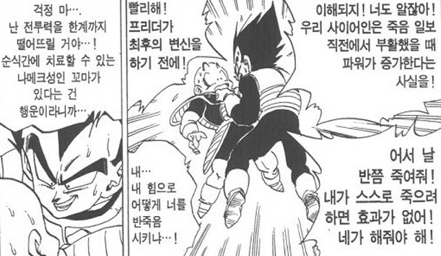 [드래곤볼]무모한짓을 했던 베지터_1.jpg