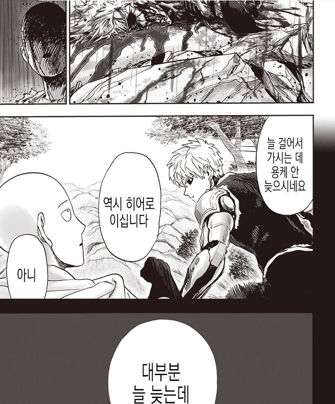 원펀맨)리멬 평 애매한건 주인공 해석이 잘못되서라 봄_6.png