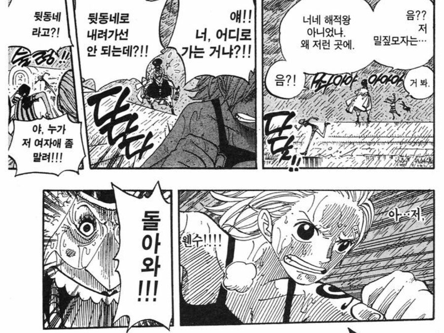 원피스) 밀짚모자 해적단의 일상을 책임지는 두기둥_6.jpg