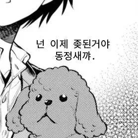 댕댕이 시점으로 보는 만화_2.webp