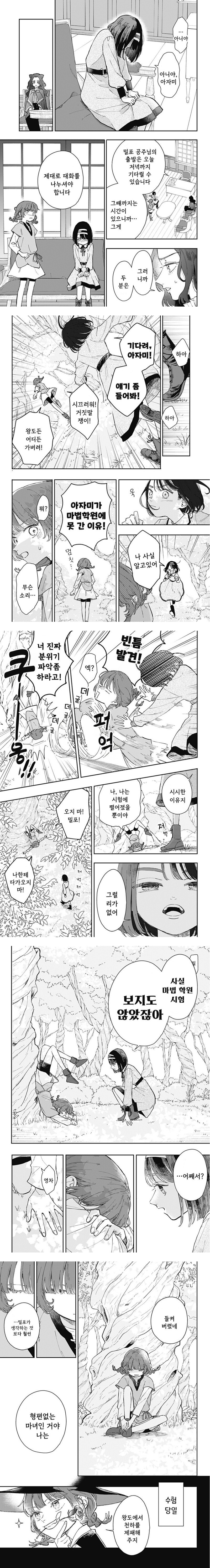 마법학원과 대단한 마녀 manhwa_5.jpg